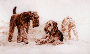 "Three of a Kind" Airedale Terrier Limited Edition Print by Roger Inman