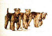 "Three in a Row" Airedale Terrier Limited Edition Print by Roger Inman