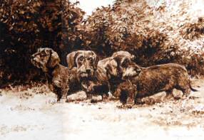 Wire Haired Dachshund Original Sepia Watercolor "Shoulder to Shoulder" by Roger Inman