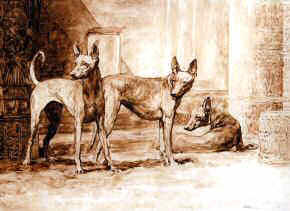 "Royal Favourites" Pharaoh Hound Fine Art Limited Edition Print by Roger Inman