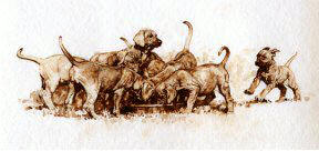 Rhodesian Ridgeback Pups "The Latecomer" Sepia Limited Edition Print