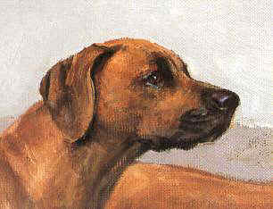 Closeup of "Line Abreast" Rhodesian Ridgeback Limited Edition Print by Roger Inman