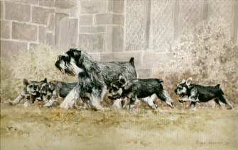 "A Lesson in Comportment" Limited Edition Miniature Schnauzer Print by British Artist Roger Inman