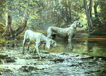 "Bracework at the Ford" Weimaraner Fine Art Limited Edition Print by Roger Inman  