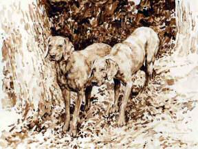 "On the Hunt" Weimaraner Original Sepia Watercolor by British artist Roger Inman