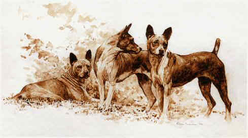 "Basenji Study 1" by British artist Roger Inman