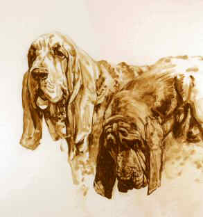 Bloodhound Head Study Fine Art Limited Edition Print by Roger Inman