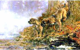 "The Sound of Mist" Border Terrier Fine Art Limited Edition Print by Roger Inman