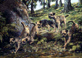 "Across the Rill" Border Terrier Fine Art Limited Edition Print by Roger Inman
