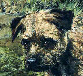 Head Closeup of "Across the Rill" Border Terrier Limited Edition Print
