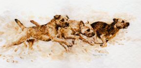 "Full Ahead" Border Terrier Fine Art Limited Edition Print by Roger Inman