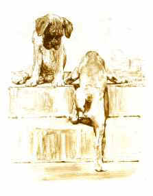 "Solo Attempt" Boxer Pups Limited Edition Print by Roger Inman