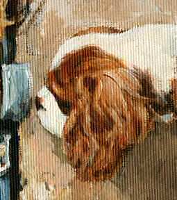 Closeup of Blenheim Cavalier Puppy