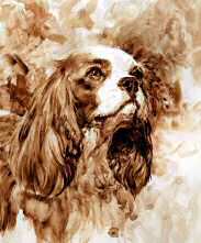 "A Blenheim Cavalier" Cavalier King Charles Spaniel Fine Art Limited Edition Print by Roger Inman