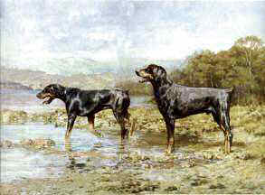 "Point of Crossing" Doberman Pinscher Origina Oil by British artist Roger Inman