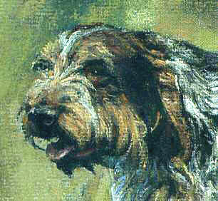 Closeup of "Rites of Spring" Italian Spinone Original Fine Art Pastel By Roger Inman