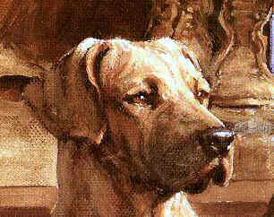 Closeup of "An Eye on the Plain" Rhodesian Ridgeback Limited Edition Print by Roger Inman