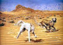 "Hot Pursuit" Saluki Fine Art Limited Edition Print by Roger Inman  