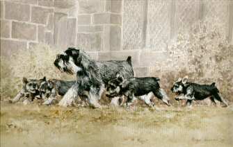 "A Lesson in Compartment" Miniature Schnauzer Original Oil by British Artist Roger Inman