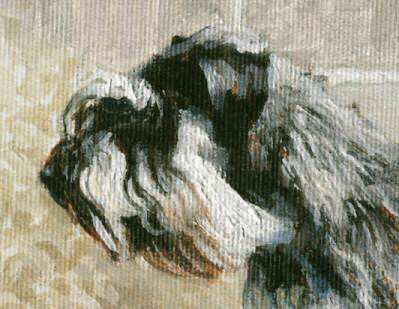 Closeup of "A Lesson in Comportment" Miniature Schnauzer Original Oil by British Artist Roger Inman