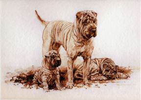 "On Guard" Shar Pei Orignal  Sepia Watercolor by British artist Roger Inman