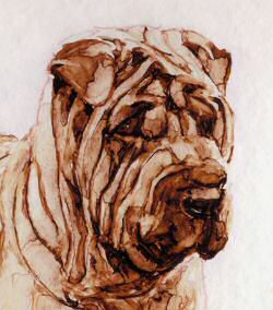Closeup of Shar Pei head from "On Guard" Limited Edition Shar Pei Print