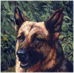 German Shepherd Closeup from "The Good Shepherds" German Shepherd and Border Collie Limited Edition Print by British Artist Roger Inman