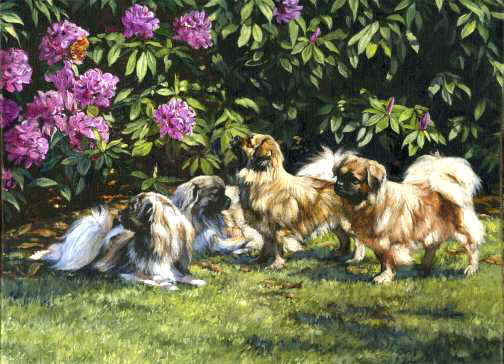 Tibetan Spaniel Fine Art Limited Edition Print  by Roger Inman