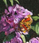 Closeup of Rhododendron Blossom with Butterly