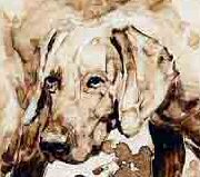 Closeup of Weimaraner from "On the Hunt" Limited Editiion print by British artist Roger Inman